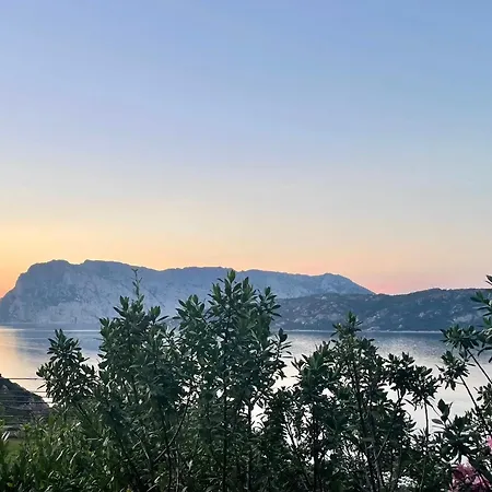 San Teodoro Punta Est Bilocale Vista Mare