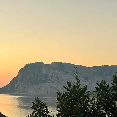Apartment San Teodoro Punta Est Bilocale Vista Mare