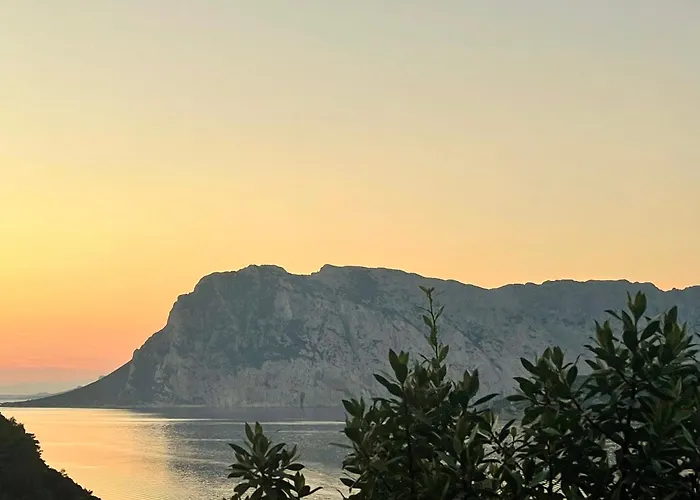 Apartamento San Teodoro Punta Est Bilocale Vista Mare